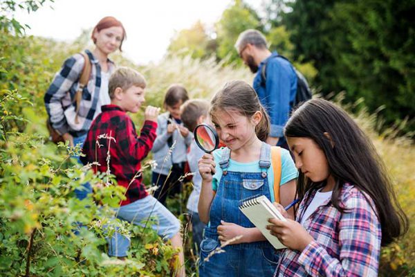 What can teachers claim on tax? Boost your tax refund