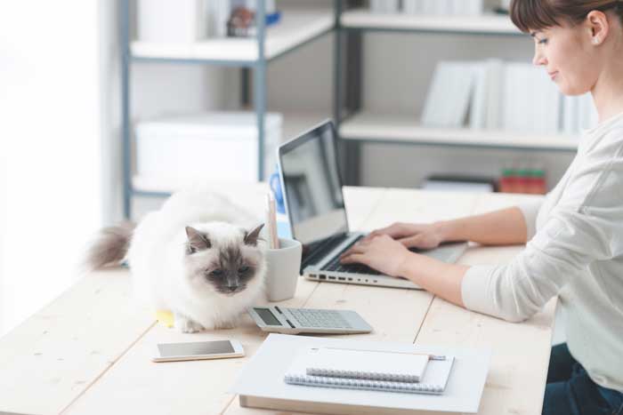 Girl working from home with her cat on the desk