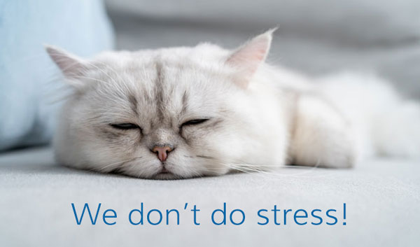 Stress free 2023 tax return