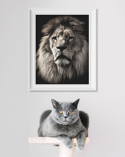 MyGov tax return comparison