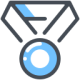 Winner icon